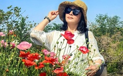 宠物小精灵世界之旅攻略